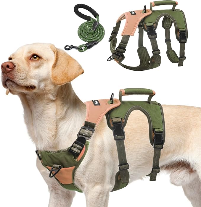 PUPTECK Escape Proof Dog Harness and Leash Set Upgraded No Pull Reflective Dog Vest with Lift Handle, Easy Control Pet Harness for Medium Large Dogs Training Walking Running, Green, L