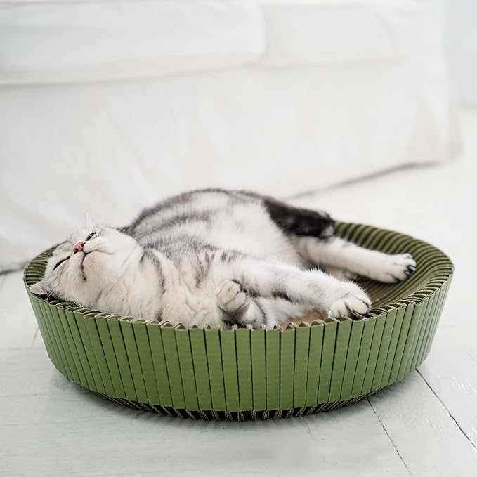 Nest Cat Scratcher Lounge Bed - for Rubbing, Resting, and Scratching (Assembled Bundle, Yosemite Green)