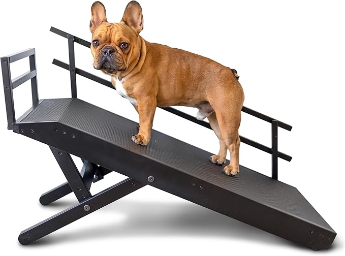 DoggoRamps Dog Ramp for Couch with Safety Rails - Adjustable from 14" to 21" with Anti-Slip PAWGRIP & Convenient Platform Top - for Small Dogs up to 150lbs - Made of Solid Hardwood in North America