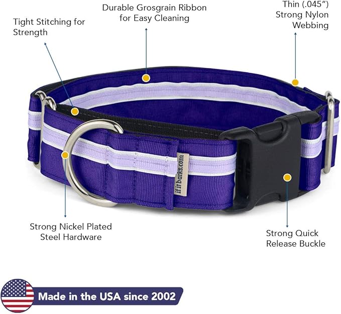 If It Barks - 1.5" Martingale Collar for Dogs - Quick Snap Release Buckle - Adjustable - Nylon - Strong and Comfy - Ideal for Training - Made in USA - Large, Grape Crush