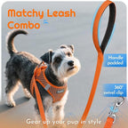 Eagloo Small Dog Harness and Leash Set, Step in Puppy Vest with Breathable Soft Mesh, Walking Reflective Pet Harness for Small Dogs, Orange, M