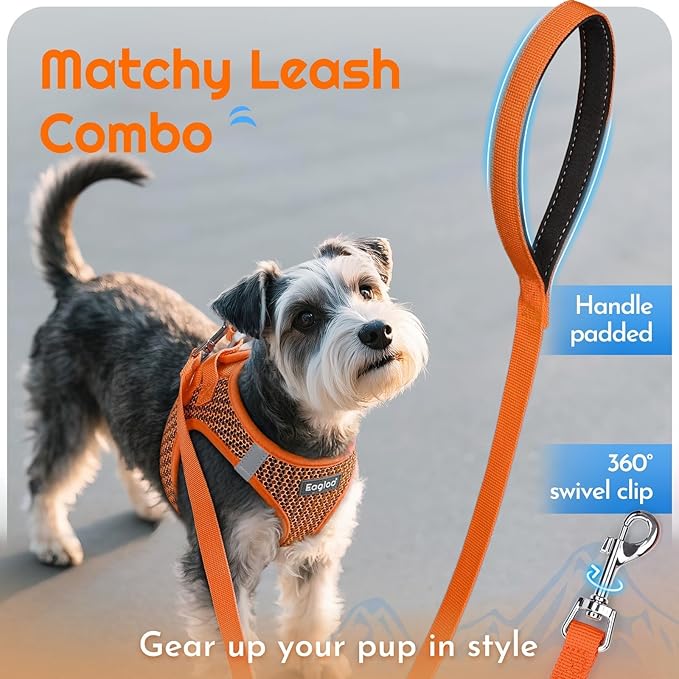 Eagloo Small Dog Harness and Leash Set, Step in Puppy Vest with Breathable Soft Mesh, Walking Reflective Pet Harness for Small Dogs, Orange, S