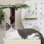 41″ Cat Tree for Indoor Cats Furniture, Cat Tower with Scratching Board, Modern Activity House for Large Cats, Condo with Ball Toys, Kittens Cave, Cat's nest, Beige White