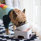 Bulldog Bowl Anti-Slip Dog Cat Dish Detachable Dog Bowls Pet Sterile Tilted Pet Feeder Slope Base (White,Ceramic-1.5 Cup