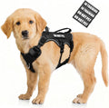 WINSEE Escape Proof Dog Harness, Service Working Molle Harness with Double Handle, Tactical Pet Vest with 4 Patches for Small Medium Large Dogs Walking Hiking Hunting