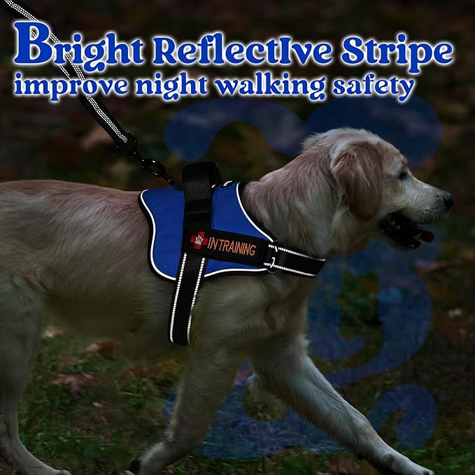 rabbitgoo Dog Harness Medium Sized, No Pull No Choke Pet Vest, Easy Wearing with One Buckle, Reflective, Adjustable Pet Harness with Molle for Walking, Training, Blue, M