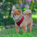Puppia Soft Harness II - Wine - M