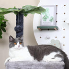 41″ Cat Tree for Indoor Cats Furniture, Cat Tower with Scratching Board and Save Space, Modern Activity House for Large Cats, Condo with Ball Toys, Kittens Cave, Cat's nest, Light Grey