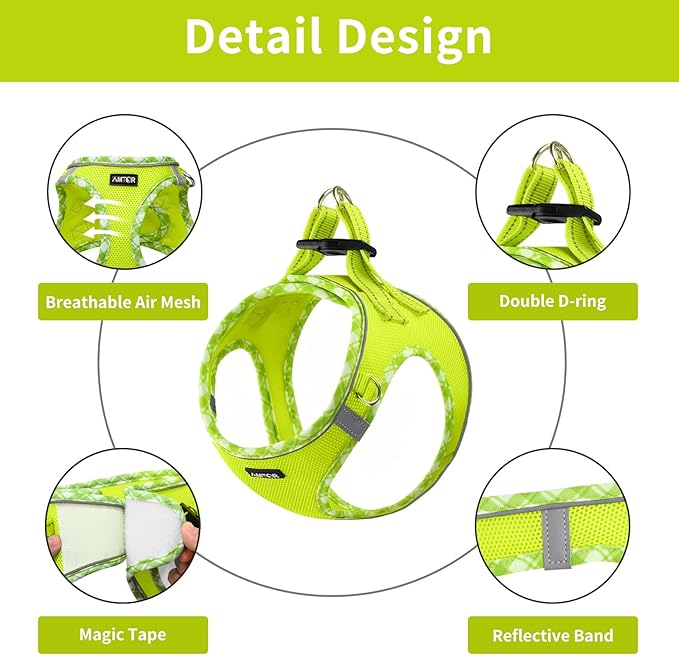 AMTOR Small Dog Harness with Leash Set, No Escape Easy Walk Puppy Harnesses for Training Walking, Step-in Reflective Soft Dogs Vest for XS S Medium Extra-Small Large Sized Dog(XXS Size,Green/White)