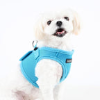 PUPPIA International Harness Soft B Vest, XX-Large, Sky Blue