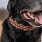 Herm Sprenger Brown Reflective Nylon Cover for Ultra-Plus Pinch Dog Collar for Small Medium Large Dogs Durable Protector for Dog Training Prong Collar (18.5in (46.5cm))