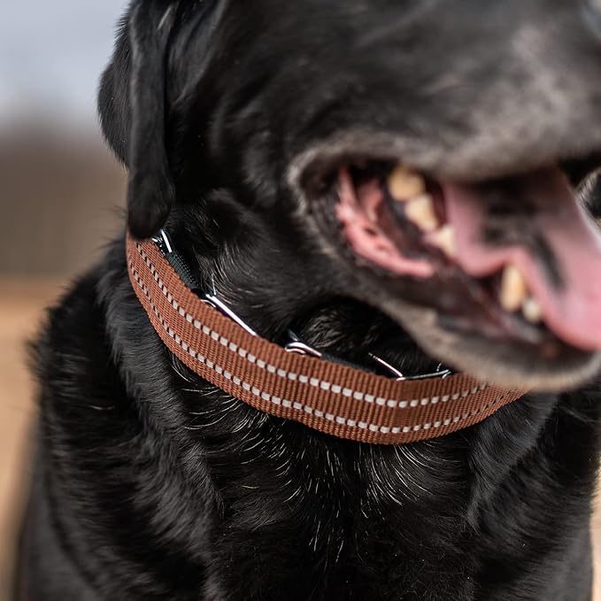 Herm Sprenger Brown Reflective Nylon Cover for Ultra-Plus Pinch Dog Collar for Small Medium Large Dogs Durable Protector for Dog Training Prong Collar (15.5in (39.5cm))