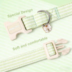 ARING PET Stripe Dog Collar, Cute Spring Summer Green Stripe Pet Collars with Bow Charm for Puppy Small Medium Large Boy Girl Dogs-M, for Daily Outdoor Walking Training