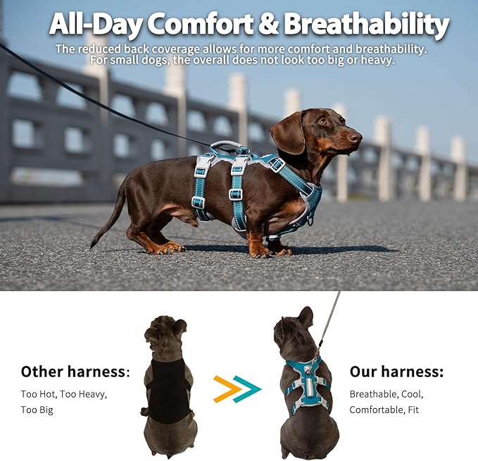 Huntboo Escape Proof Dog Harness, No Pull Reflective Harness with Lift Handle, Adjustable Pet Vest with Front and Back Leash Clips for Small Medium Large Dogs Walking Hiking Training (Teal,XL)