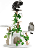 Petest Cat Tree 38 Inch Real Wood Cat Tower with Natural Branches, Cat Condo for Indoor Cats, Modern Cat Furniture with Sisal Scratching Post, Perches & Hanging Toy