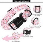 ARING PET Easter Dog Collar, Cute Pink Rabbit Carrot Pet Collars with Quick Release Buckle for Puppy Small Medium Large Boy Girl Dogs-L