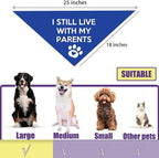 I Still Live with My Parents Dog Bandana Summer Funny Dog Bandana Puppy Bandanas for Dogs Triangle Photo Prop Pet Scarf Accessories for Dog Lovers Gift