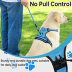 NESTROAD No Pull Dog Vest Harness with Leash, Adjustable Reflective Oxford Pet Harness with Easy Control Handle for Small Dogs, Blue