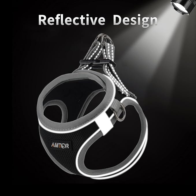 AMTOR Small Dog Harness with Leash Set, No Escape Easy Walk Puppy Harnesses for Training Walking, Step-in Reflective Soft Dogs Vest for XS S Medium Extra-Small Large Sized Dog(XS,Black/Grey)