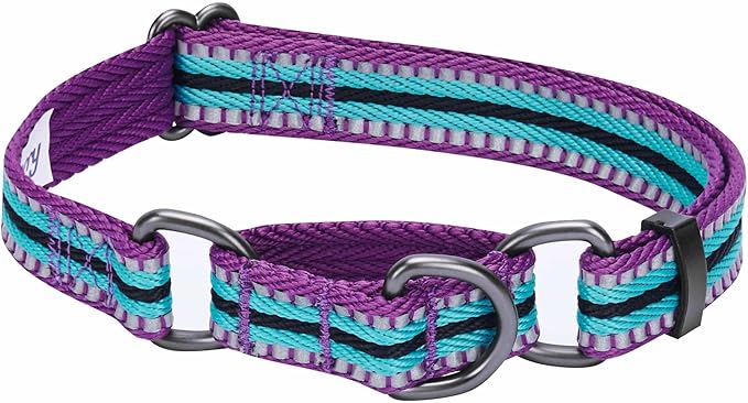 Blueberry Pet 4 Colors 3M Reflective Multi-Colored Stripe Martingale Safety Training Dog Collar, Violet and River Blue, Large, Heavy Duty Adjustable Collars for Dogs
