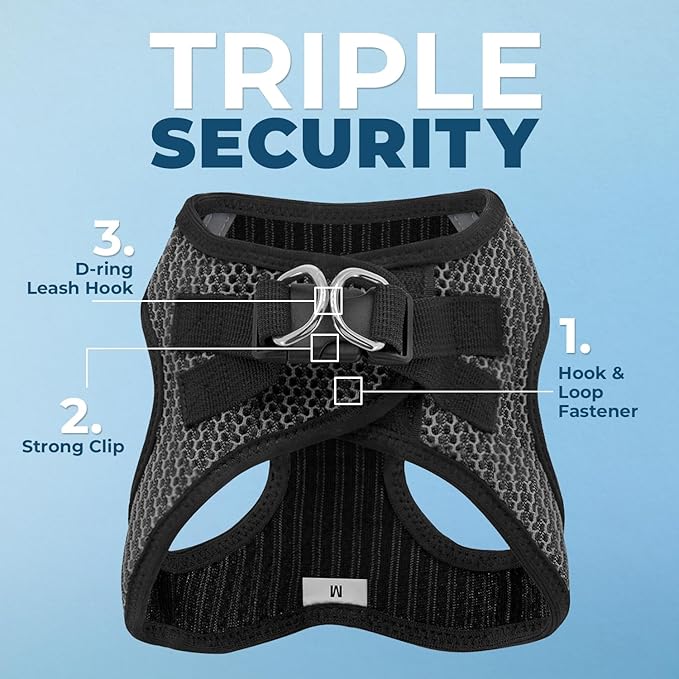 Best Pet Supplies Voyager Step-in Air All Weather Mesh Harness and Reflective Dog 5 ft Leash Combo with Neoprene Handle, for Small, Medium and Large Breed Puppies - Gray (2-Tone), M