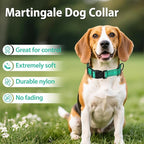 Martingale Collar for Dogs with Quick Release Buckle, Reflective Soft Padded & Escape Proof, Adjustable Nylon Dog Collars for Training & Daily Walking (Turquoise,M)