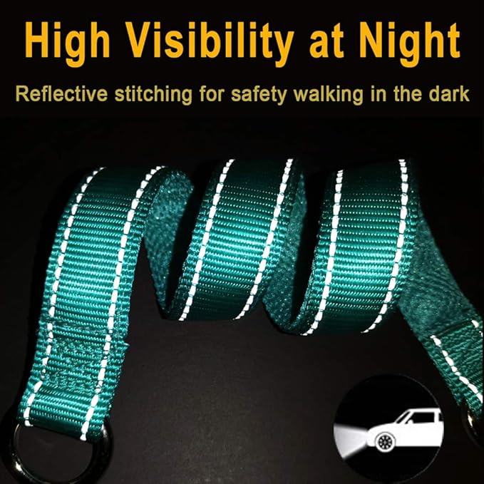 Reflective Slip Dog Collar, Loop Dog Collar for 20-38 lbs Dogs Nylon Collars with Soft Padded for Dogs Training (5/8" W x 15.5" L, Turquoise)