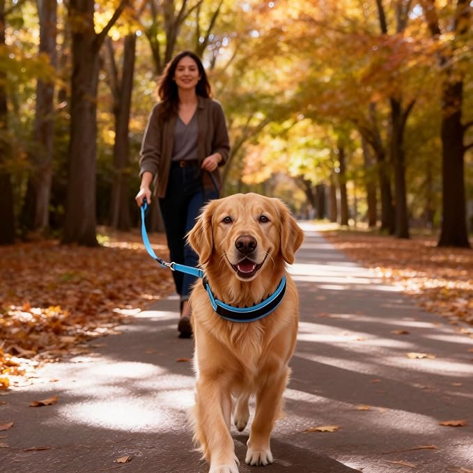 Lightweight Prong Collar for Dogs, Reflective No Pull Dog Collar | Adjustable Size Dog Pinch, Breathable Woven Fabric Air Grid Technology, Martingale Collar for Dogs Training(Blue-M)