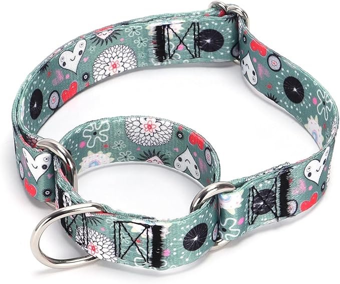 Serijoars Adjustable Martingale Dog Collar Heavy Duty Nylon Dog Collar for Medium Large Dogs Walking Training Boy and Girl Dogs (NO14, M)
