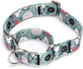 Serijoars Adjustable Martingale Dog Collar Heavy Duty Nylon Dog Collar for Medium Large Dogs Walking Training Boy and Girl Dogs (NO14, M)