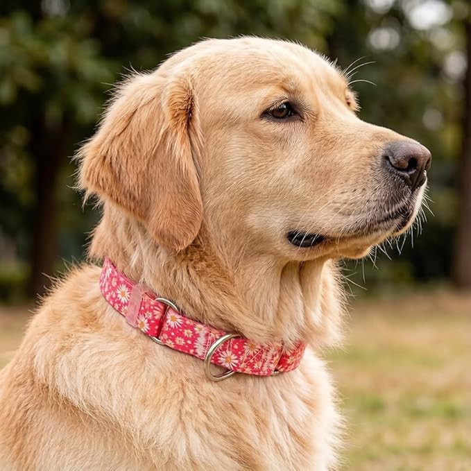 Red Martingale Collars for Dogs, Daisy Print No-Slip Escape Proof Choke No Pull Soft Nylon Training Dog Collars for Small Medium Large Breed Pet Dogs, M