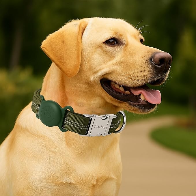 AirTag Holder Dog Collar for Large Medium Dogs, Adjustable Nylon Dog Training Collar with Quick Release Buckle, Reflective Heavy Duty Tactical Dog Collar with Handle (Army Green L)