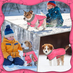 Fragralley Dog Winter Coat, Waterproof Windproof Reflective Fleece Jacket with Harness Hole, Warm Snow Vest for Small Medium Large Dogs, Ideal Gifts