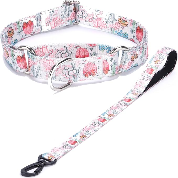 Martingale Collar and Leash Set, Premium No Slip Martingale Collar for Dogs Medium Large, Girl Dog Collars Training (NO21, L)