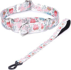 Martingale Collar and Leash Set, Premium No Slip Martingale Collar for Dogs Medium Large, Girl Dog Collars Training (NO21, L)