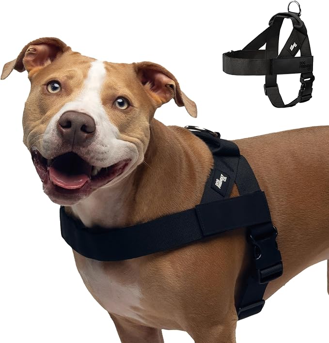 DF Co. Dog Harness | Chafe Resistant Webbing, Adjustable Neck & Chest, and Heavy Duty D-Ring | Sturdy, Comfortable, Easy to Use | Black, Size L