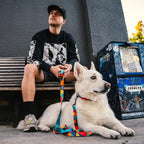 Wolfgang Heavy Duty Dog Leash, Pull-Tested to Over 800 lbs for Walking & Training, ShatterShapes Print, Dual-Handle Large