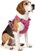 HEELE Dog Harness for Medium Dogs No Pull Dog Vest Harness with Soft Padded Handle Reflective for Outdoor Training, Rose(Matching Trim), M