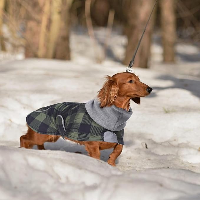 Dachshund Coats Waterproof Suitable for Dachshunds Sausage Weiner Dog Winter Coat Padded Fleece Puppy Snowsuit with Adjustable Bands Reflective Stripe - Plaid Green - L