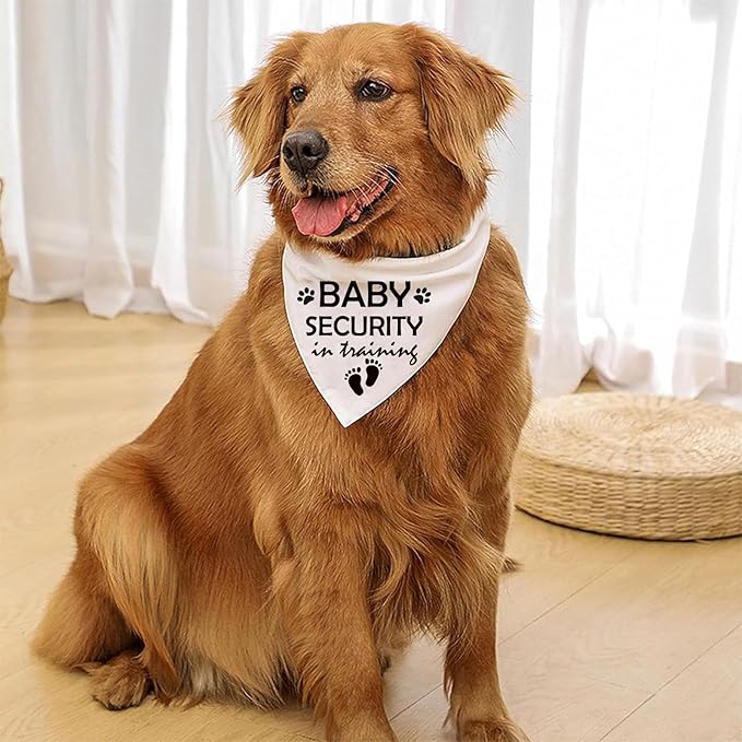 Pregnancy Announcement Dog Bandana Baby Security in Training Printed Bandanas Baby Announcement Dog Bandanas Pregnancy Reveal Ideas Pet Scarf Accessories (2 Pack)