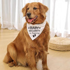 Pregnancy Announcement Dog Bandana Baby Security in Training Printed Bandanas Baby Announcement Dog Bandanas Pregnancy Reveal Ideas Pet Scarf Accessories (2 Pack)