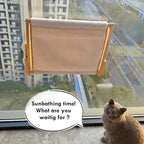 Foldable Cat Window Perch, Natural Wood, 16.5''×12'' Hammock, 35 lbs Weight Limit, Cat Window Hammock for Small Size Windows