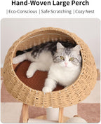 Wood Cat Tree for Large Cats, Modern Cat Tree Tower with Wide Shelves Cotton Scratching Posts, Super Sturdy Base, Cozy Perches, and Interactive Toys for Indoor Kittens