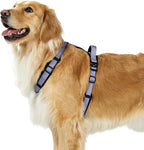 PawsPassion Dog Harness for Medium Dogs, No Pull Dog Harness Easy Walk with Metal Hardware, Ergonomic Y-Shaped Design, Soft Padding, Padded Handle, Durable High-Tensile Nylon (Lilac Breeze, M)