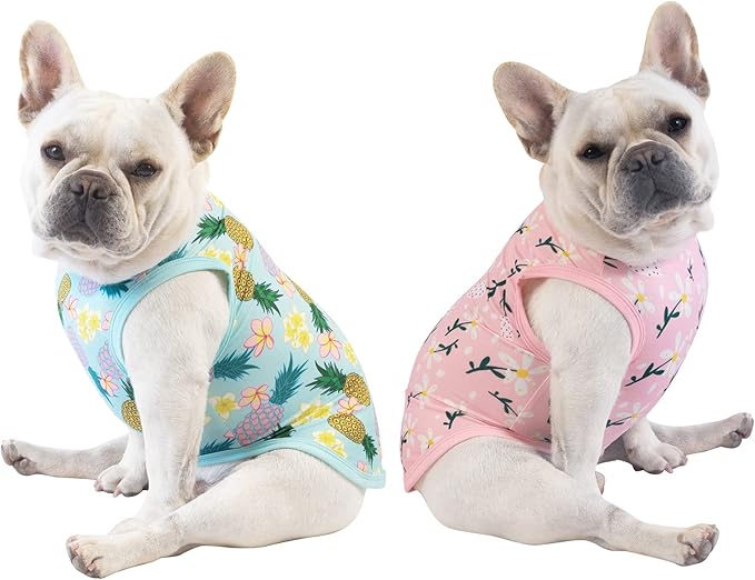 CuteBone Dog Shirts 2-Pack Soft Pet Clothes Breathable Summer Vest for Small Puppy and Stretchy Cat Apparel 2BX06M
