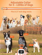 PaiPaitek 2-in-1 Dog Bark Collar and Shock Collar with Remote 3300ft Range - 5 Adjustable Sensitivity Levels, IP67 Waterproof Training Collar for Small, Medium, and Large Dogs (5-120 lbs)