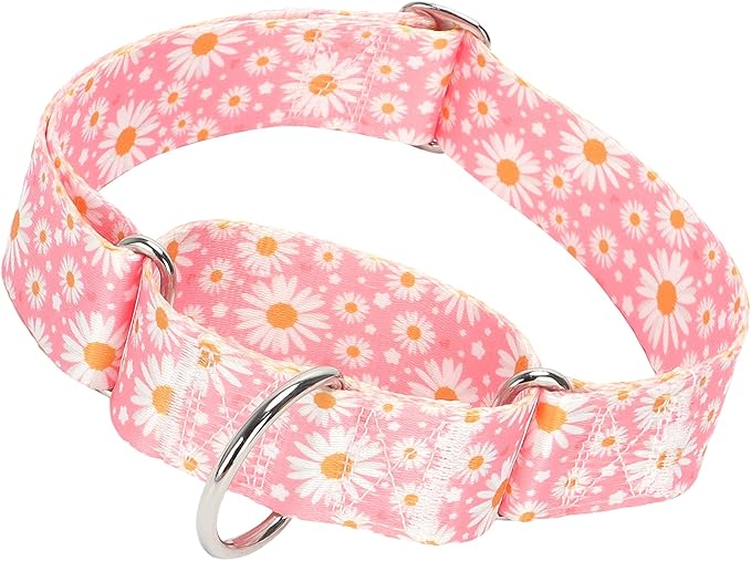 Wide Martingale Collar for Dogs -1.5 Inch Dog Training Collar -Big&Thick Dog Collar - Escape-Proof,Durable and Comfortable - pink Daisy XL