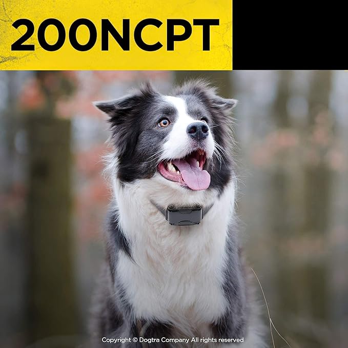 Dogtra 200NCPT Electronic Dog Training Collar with Remote for Small Dogs to Large Dogs - 2640 ft Range, Vibration, Tone, 100 Stimulation Levels, Safety Lock, Waterproof, Rechargeable, PetsTEK Edition