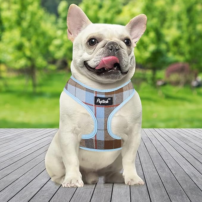 PUPTECK Soft Mesh Dog Harness and Leash Set Pet Puppy Cat Comfort Padded Vest No Pull Harnesses, Blue&Brown, XL