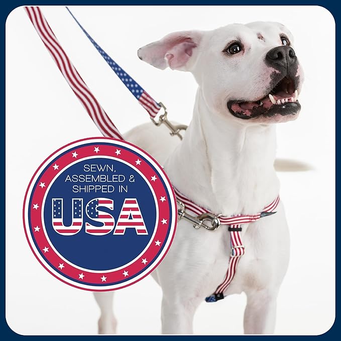 2 Hounds Design - Freedom No-Pull Harness & Training Leash in Pink Daisy | Dual Leash Loops, No Pulling on Walks | Lined to Prevent Chaffing | for Large Sized Dogs (Size L, Chest 28”- 32”)